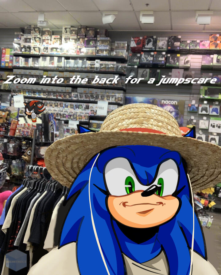 Bust art edit of Sonic & Shadow over a photo originally taken by Twitch streamer Sarryy. Sonic is smiling into the camera & Shadow is holding a middle finger in the back. Text says "Zoom in the back for a jumpscare"